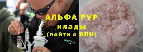 сатива Белокуриха
