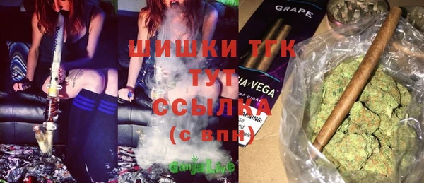 сатива Белокуриха