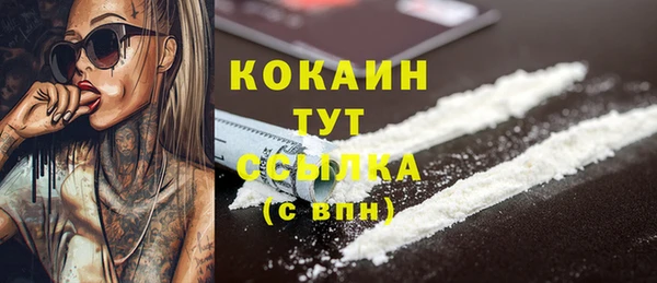 сатива Белокуриха